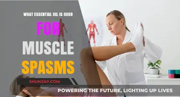 Natural Relief: Essential Oils to Ease Muscle Spasms