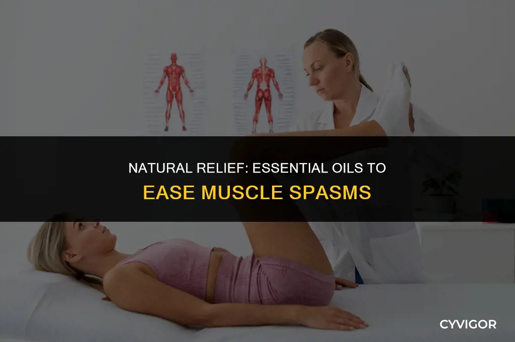 what essential oil is good for muscle spasms