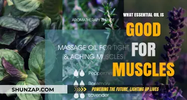 Nature's Muscle Soothers: Essential Oils for Pain Relief