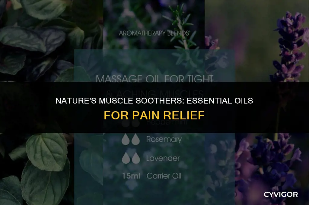 what essential oil is good for muscles