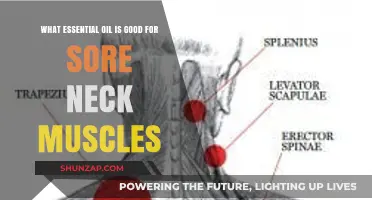 Soothing Sore Neck Muscles: Top Essential Oils for Relief