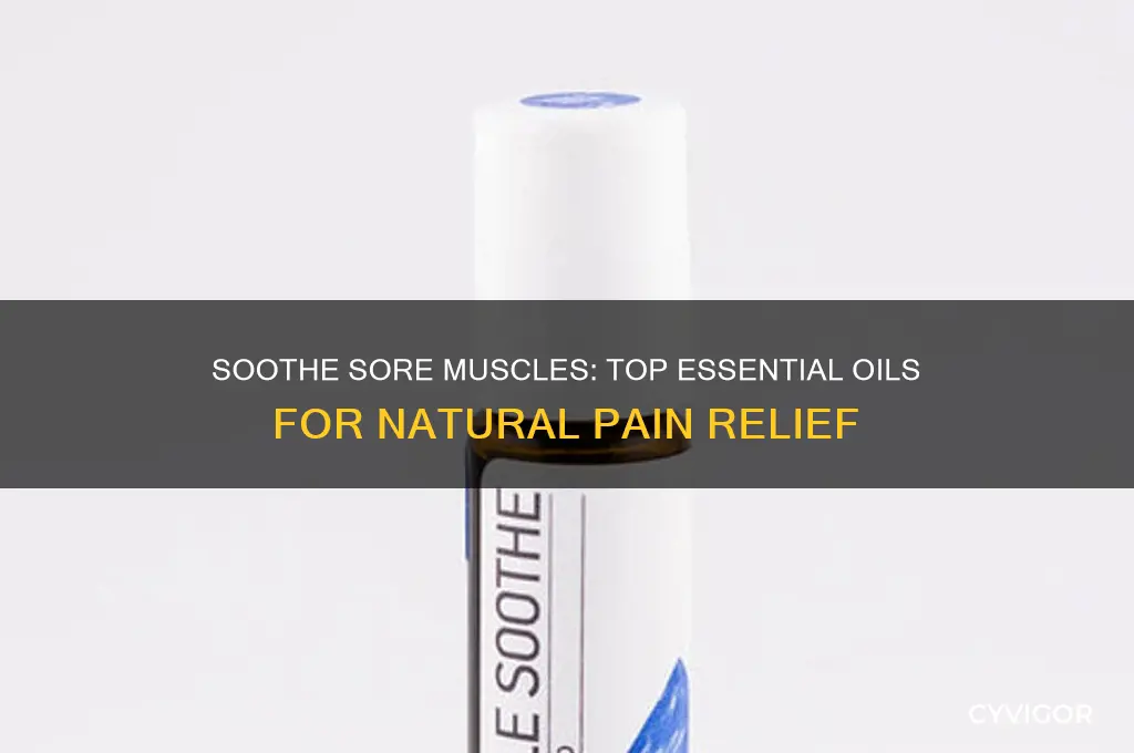 what essential oils are good for aching muscles