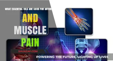 Best Essential Oils for Arthritis and Muscle Pain Relief