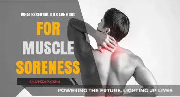 Nature's Remedy: Essential Oils to Ease Muscle Soreness
