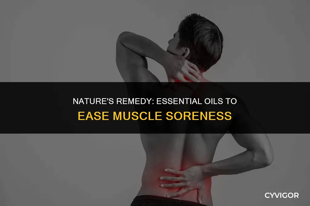 what essential oils are good for muscle soreness