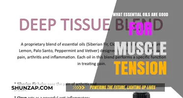 Ease Muscle Tension Naturally: Top Essential Oils for Relief