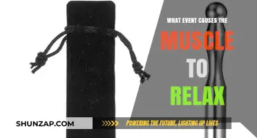 Understanding Muscle Relaxation: Key Events That Trigger Muscle Release