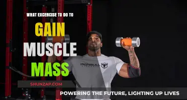 Effective Workouts to Build Muscle Mass and Strength Fast