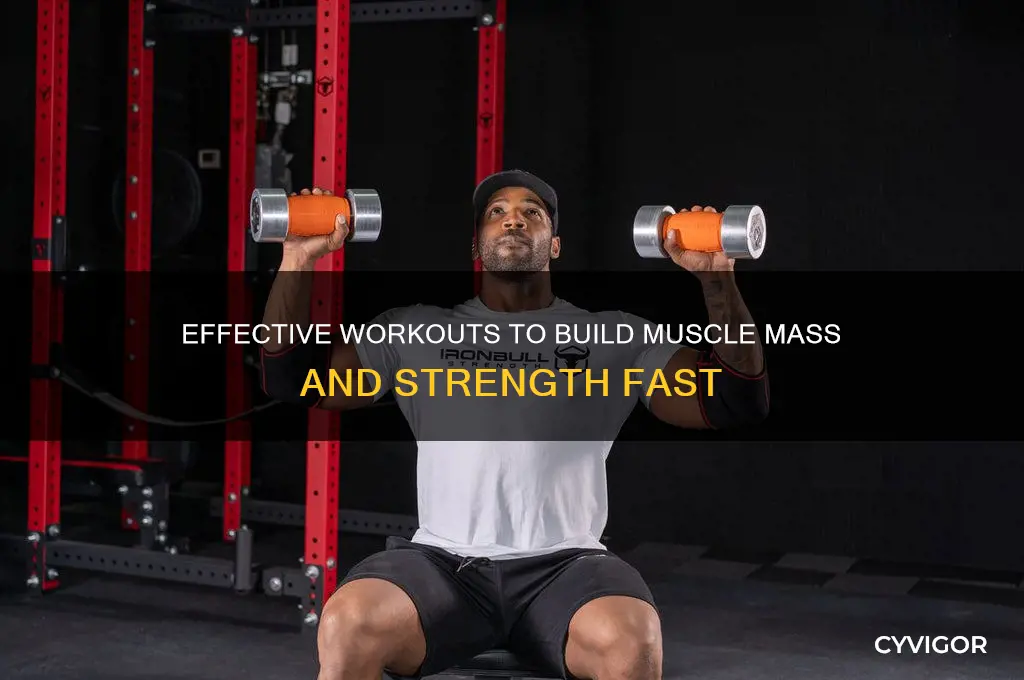 what excercise to do to gain muscle mass