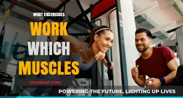 Targeted Workouts: Unlocking Muscle Groups for Optimal Fitness Results