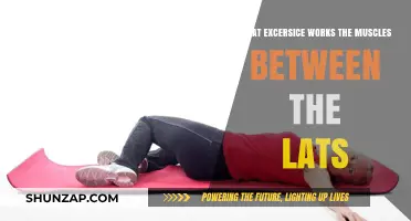Target Your Back: Exercises for Muscles Between the Lats