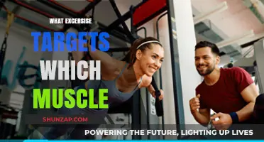 Targeted Training: Exercises for Specific Muscle Groups