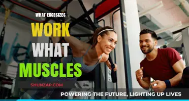 Effective Exercises to Target and Strengthen Specific Muscle Groups