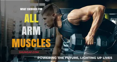 Effective Arm Workouts: Targeting Biceps, Triceps, and Forearms for Strength