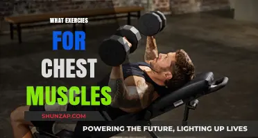 Best Chest Exercises for a Stronger Upper Body