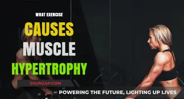 Effective Exercises for Muscle Hypertrophy: Build Strength and Size Fast