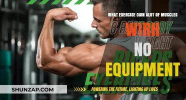 Build Massive Muscles Anywhere: No-Equipment Workouts for Maximum Gains