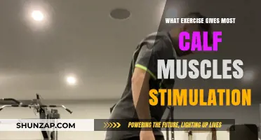Unleash Your Calf Muscles: The Ultimate Exercise Guide
