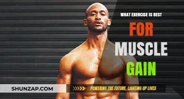 Best Exercises for Muscle Gain: Maximize Growth and Strength