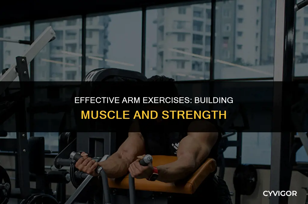 what exercise is good for arm muscle