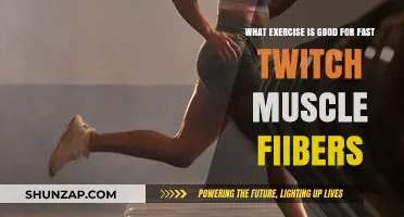 Unleash Your Speed: Top Exercises for Fast Twitch Muscle Fibers