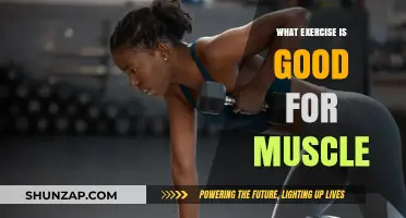 Effective Exercises to Build and Strengthen Muscle Mass