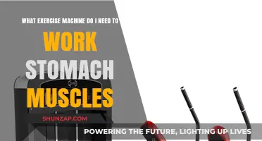 Best Exercise Machines to Target and Strengthen Your Stomach Muscles