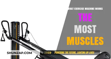Maximize Your Workout: Discover the Ultimate Full-Body Exercise Machine