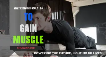 Effective Muscle-Building Exercises: A Guide to Strength and Growth