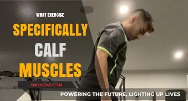 Sculpt Your Calves: Targeted Exercises for Strong, Toned Lower Legs