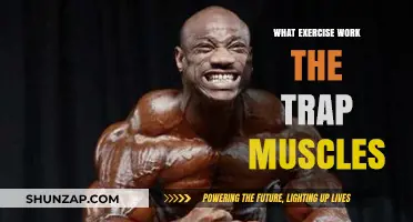 Effective Exercises to Target and Strengthen Your Trap Muscles