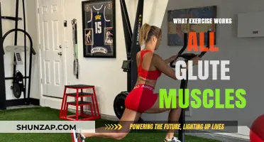 Effective Exercises to Target and Strengthen All Glute Muscles