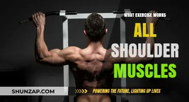 Effective Shoulder Workouts: Targeting All Muscles for Strength and Tone