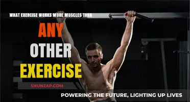 The Ultimate Full-Body Workout: Discover the Most Muscle-Engaging Exercise