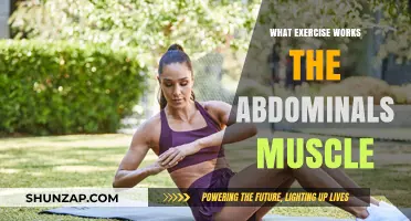 Effective Abdominal Exercises: Targeting Your Core Muscles for a Stronger Midsection