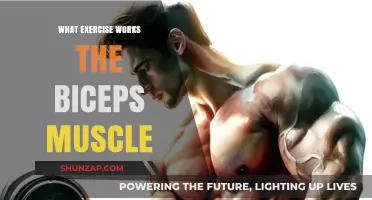 Effective Biceps Exercises: Targeting Muscle Growth and Strength
