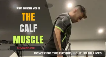 Effective Calf Muscle Workouts: Best Exercises for Strength and Tone