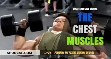 Effective Chest Workouts: Targeting Muscles for Strength and Definition