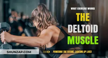 Effective Deltoid Workouts: Targeting Shoulder Strength and Definition