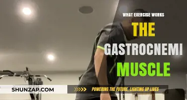 Effective Exercises to Target and Strengthen Your Gastrocnemius Muscle