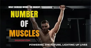 Maximize Your Workout: Discover the Ultimate Full-Body Exercise