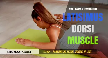 Effective Latissimus Dorsi Exercises for Strength and Back Development