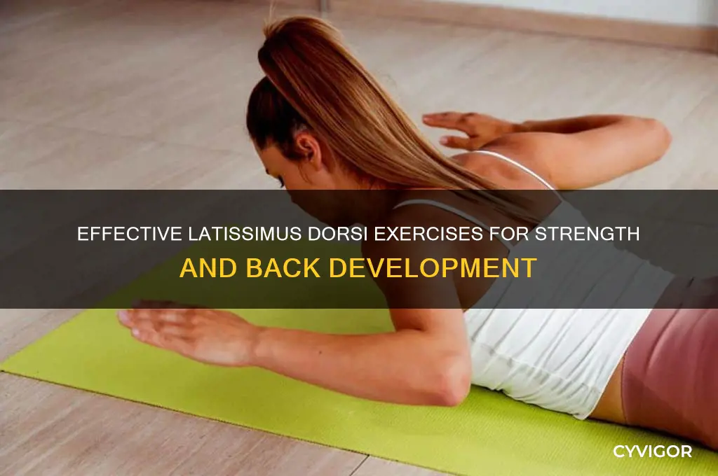 Effective Latissimus Dorsi Exercises For Strength And Back Development effective-latissimus-dorsi-exercises-for-strength-and-back-development