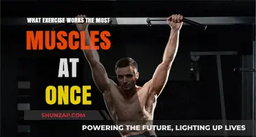 Full-Body Workouts: Discover the Ultimate Muscle-Engaging Exercise