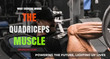 Effective Quadriceps Exercises: Strengthen and Tone Your Thigh Muscles Fast