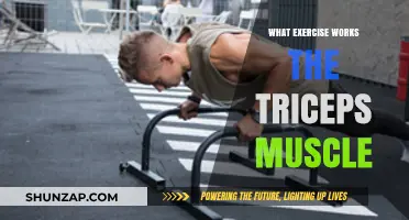 Effective Triceps Exercises: Target and Strengthen Your Arm Muscles Fast