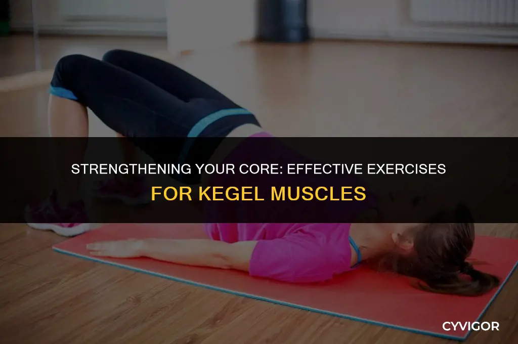 what exercises are good for kegel muscles