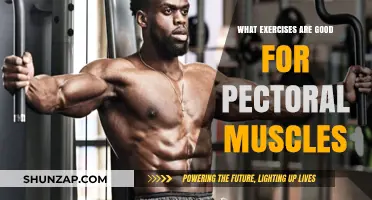 Effective Exercises to Strengthen and Tone Your Pectoral Muscles