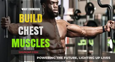 Sculpt Your Chest: Effective Exercises for Building Muscle Mass