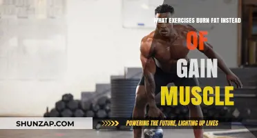 Effective Fat-Burning Workouts: Shed Pounds Without Bulking Up
